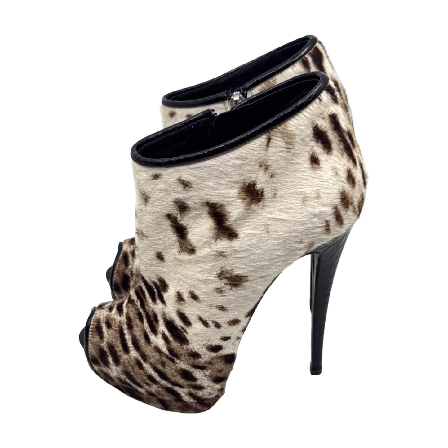 Giuseppe Zanotti sz 37