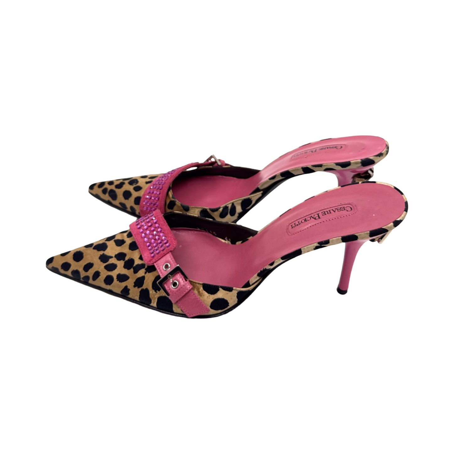 Ceasar Paciotti sz 41