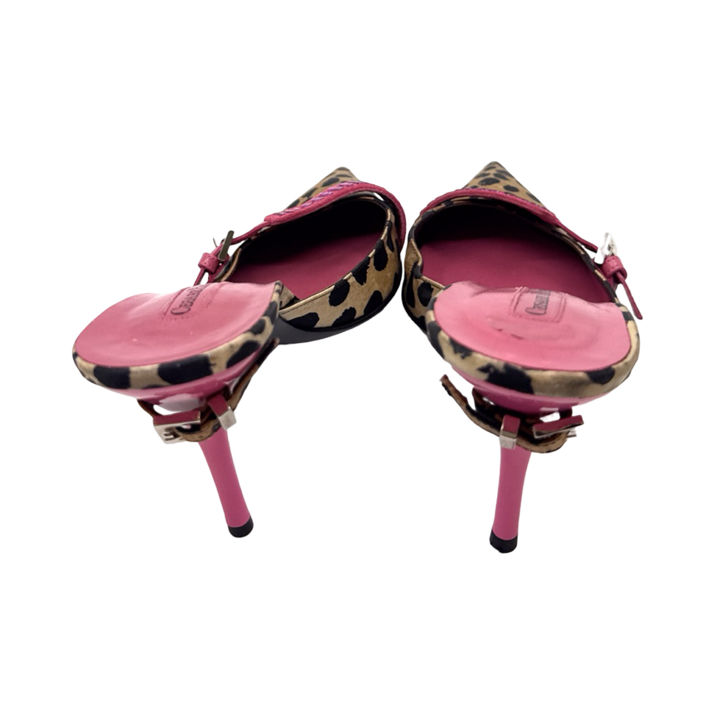 Ceasar Paciotti sz 41