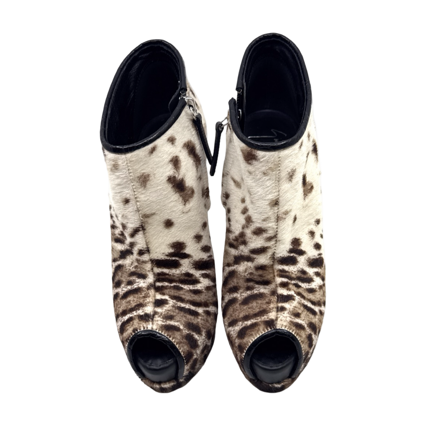 Giuseppe Zanotti sz 37